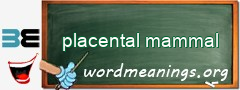 WordMeaning blackboard for placental mammal